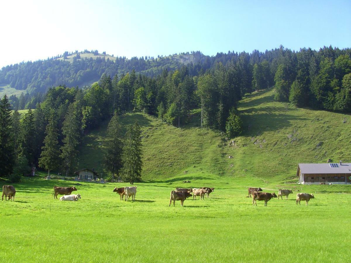 Gaestehaus Lutz Mellau Εξωτερικό φωτογραφία